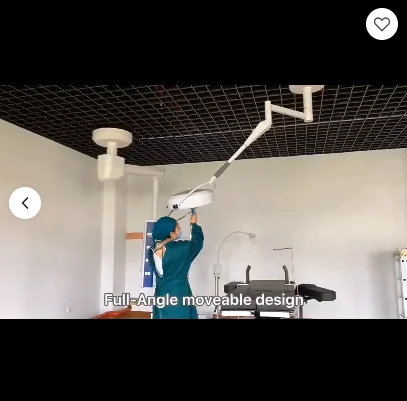 Medical Equipment 50000 hours on wall mounted or ceiling Veterinary    lamp