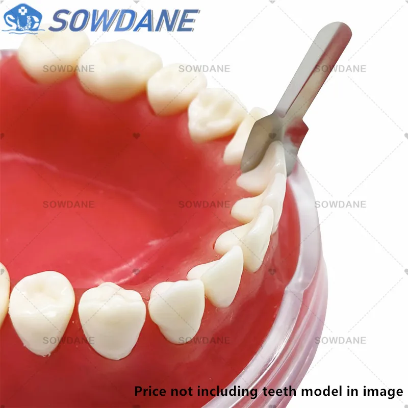 شرائط أمامية قريبة كبيرة للأسنان أنظمة مصفوفة مصفوفات أمامية مزدوجة مواد ترميم الأسنان