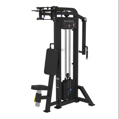 

Chest Trainer Chest Clamp Bird Trainer Gym Equipment with Factory Price