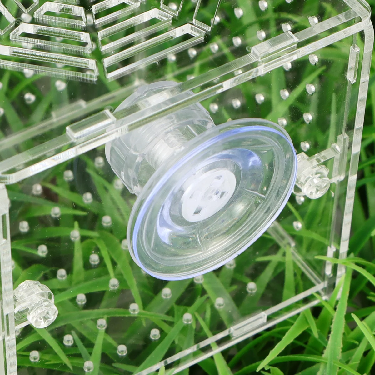 

Fry Box Aquarium Incubator Hatching Boxes Acrylic Isolated Breeding Tank For Fish Eggs Newborn Fish Survival Aquarium