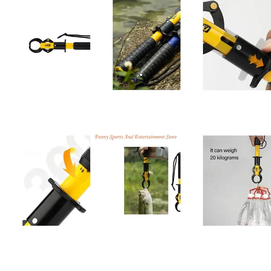 C4DE Fishes Control…