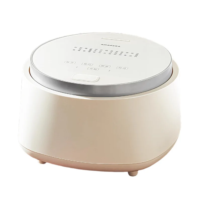Rice Cooker R2 Household Rice Cooker Mini Small Multifunctional Quick Cooking