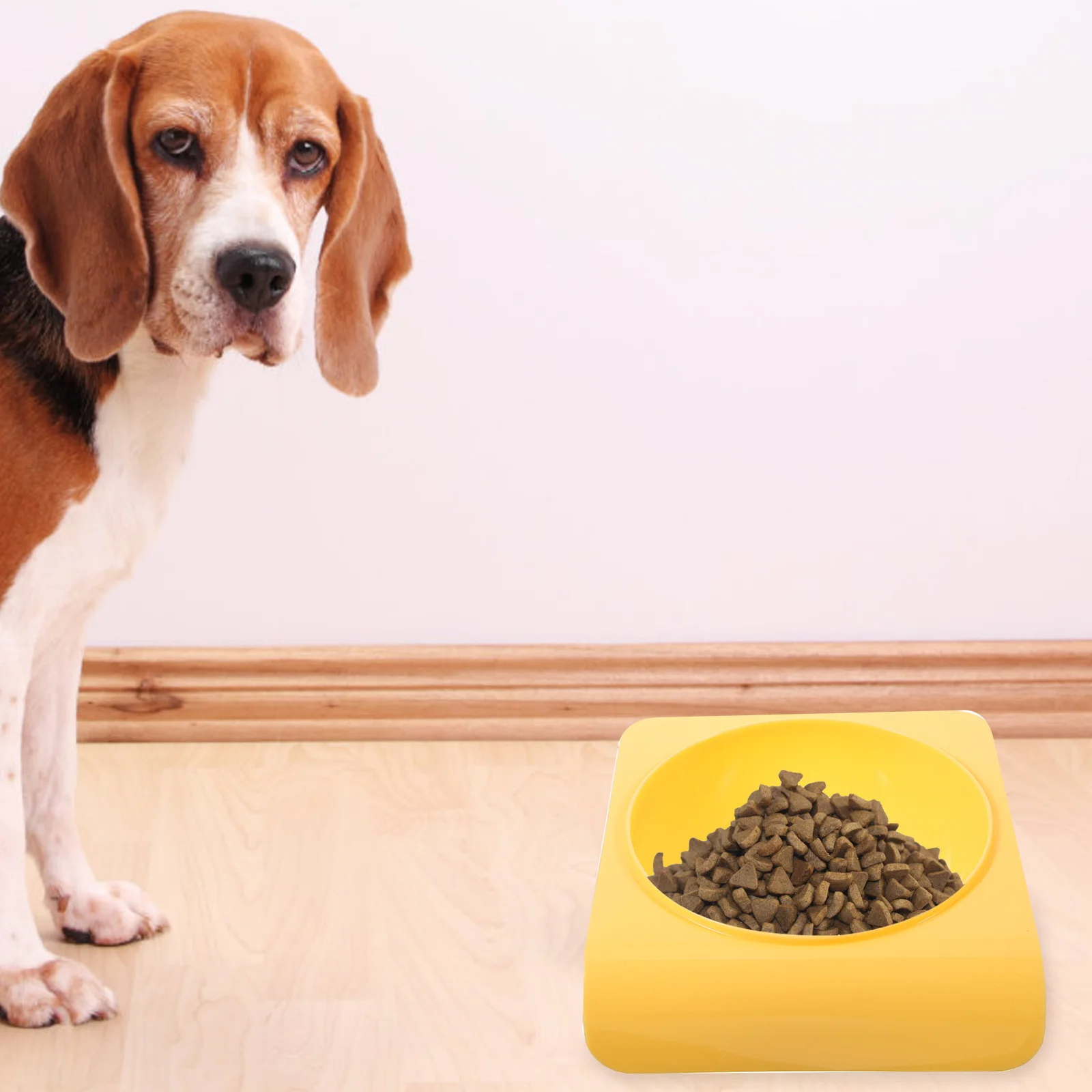 

Feeding Lightweight Plastic Dog Food Container Home Use Spill-Resistant Cat Water Bowl Smooth Edges Durable Puppy Feeder Easy