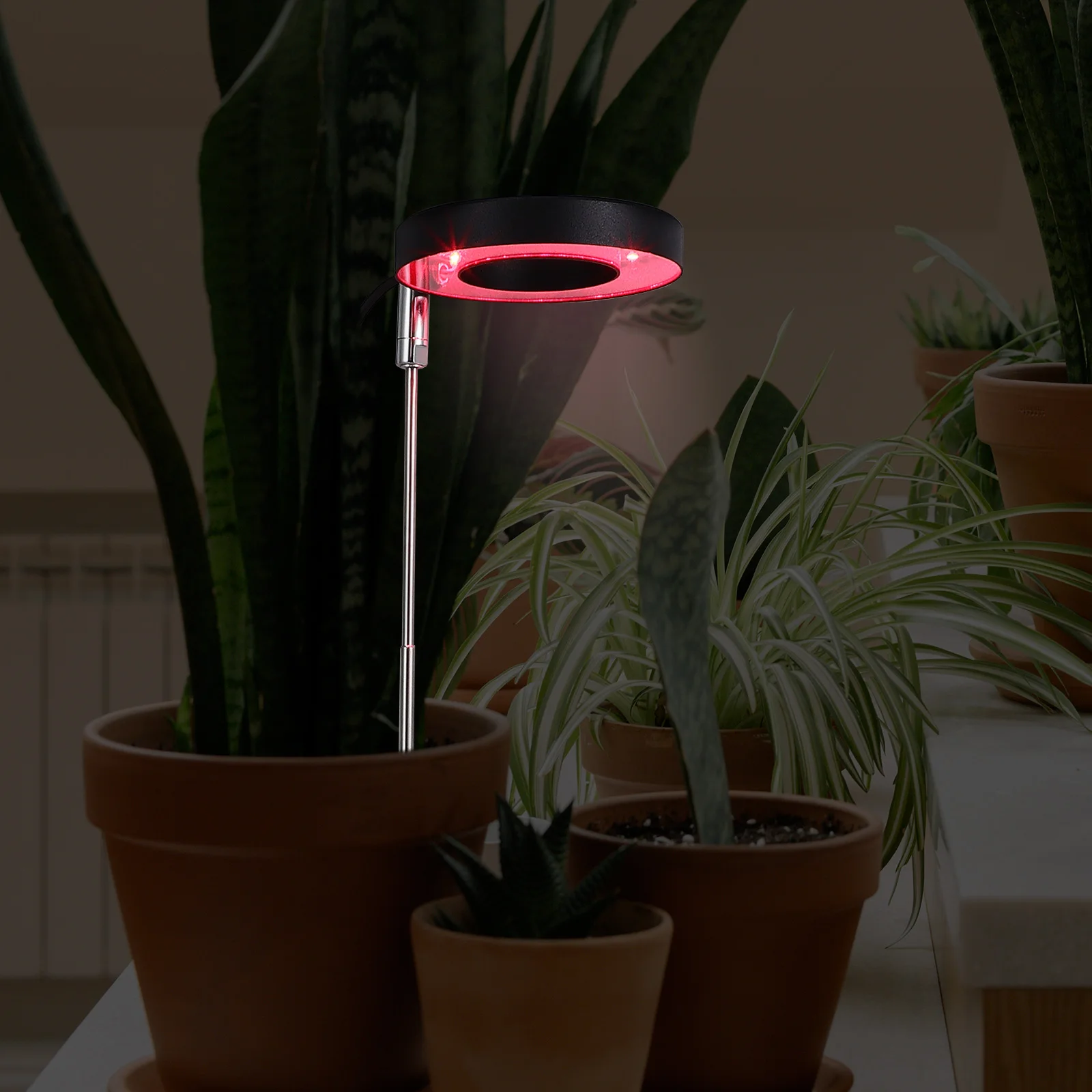 

Plant Light Indoor Adjustable Height 360 Degree Rotation Low Power High Brightness Grow Lamp For Vegetables