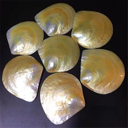 2PCs Natural Yellow Pearl Oyster Shell Polished Shell Handmade Creative DIY Jewelry Beads Decorative Dish Caviar Container