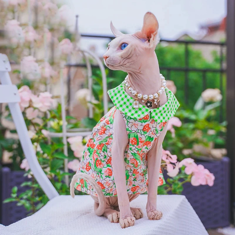 primavera-verao-verde-renda-flor-vestido-para-sfynx-gato-macio-sem-mangas-camisa-para-gatos-femininos-doce-colete-deslizamento-saia-para-devon-rex