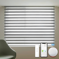 Home Custom Automatic Blackout Roller Dual Remote Wifi Electric Smart Motorized Zebra Blinds Window Shade