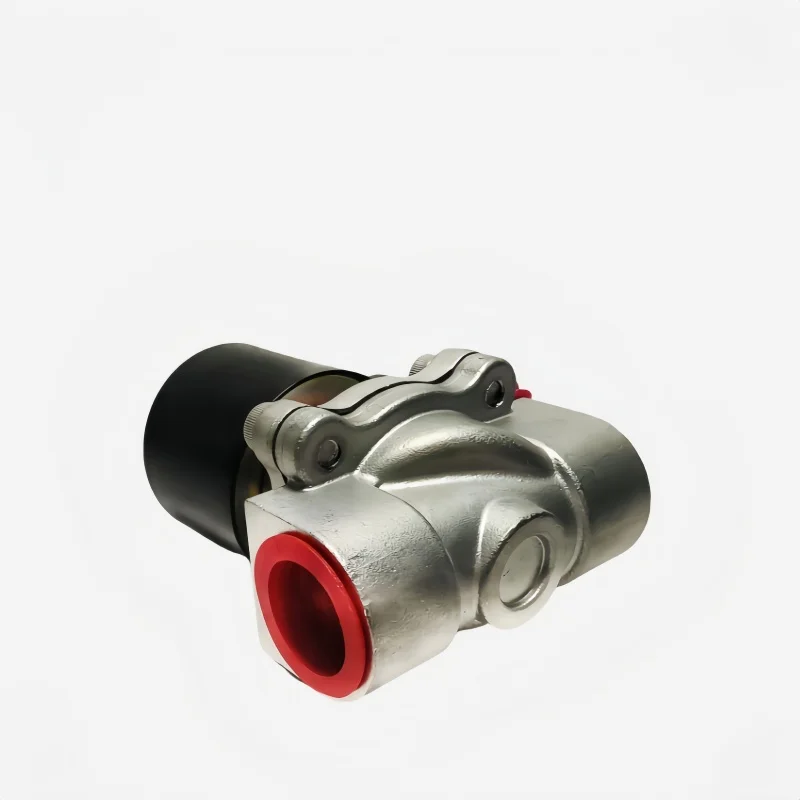 

Electromagnetic Valve Made of 304 Stainless Steel