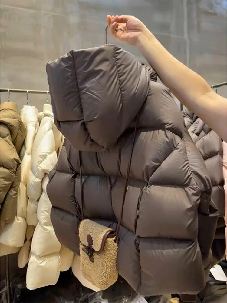 

Женская утепленная хлопковая куртка с капюшоном, зимняя, модная, свободного кроя, маленького размера, в корейском стиле, для повседневной носки, цветная