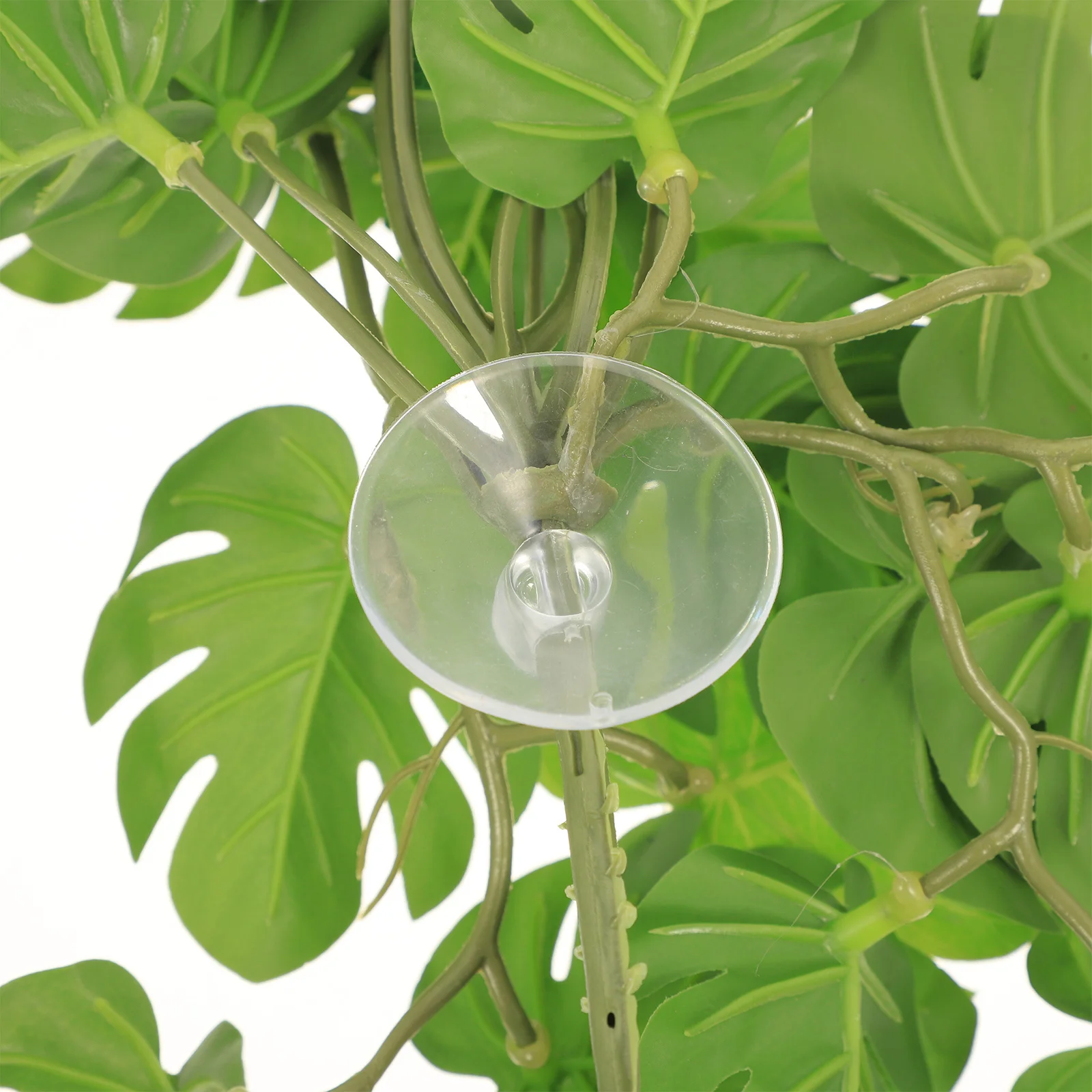 

Durable Reptile Plant for Terrarium Simulation Artificial Plant Ornament for Aquarium Decoration Reptile Plants