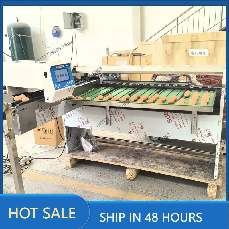 Automatic Sorting Machine 10000 Eggs/hour Chicken Sorter Grading Machine Grading and Packing Machine for Poultry