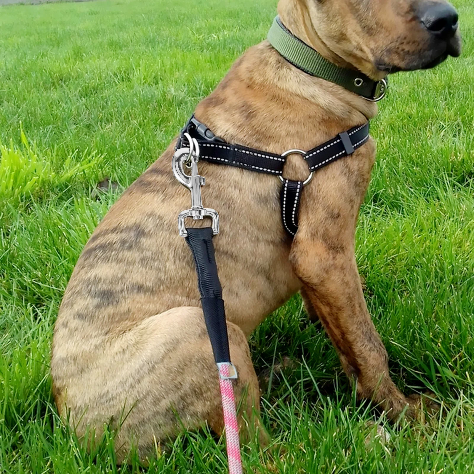 

2Pcs Swivel Snap Hooks Stainless Steel Dog Leash Clasp Pet Chain Connector 360 Degree Rotating Easy One Hand Operation