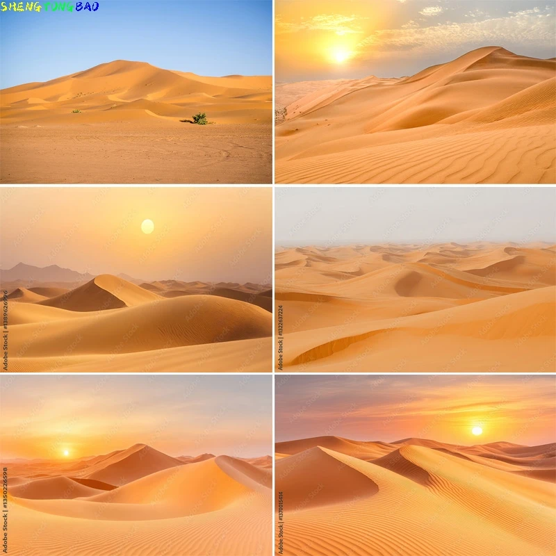 

Scenic Sahara Desert Sunlight Sky Photography Backdrops Morocco Africa Landscape Sunset Sand Dune With Bushes Background DS-01