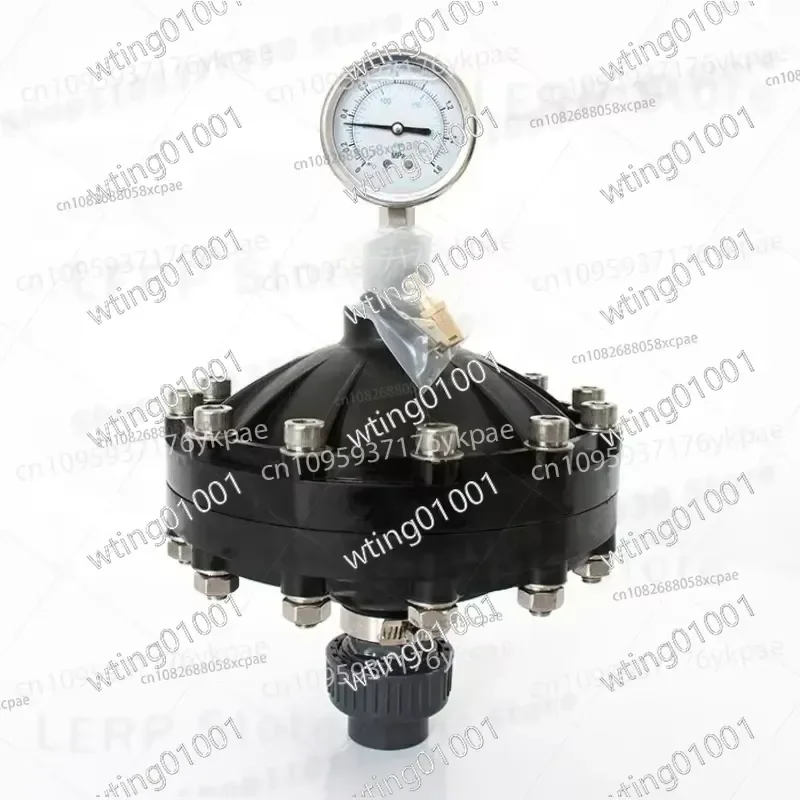 for Pulsation Damper 0.35-4L DN15-DN50 Internal Thread Diaphragm Dampener for Pumps Dosing System Smooth Flow Control