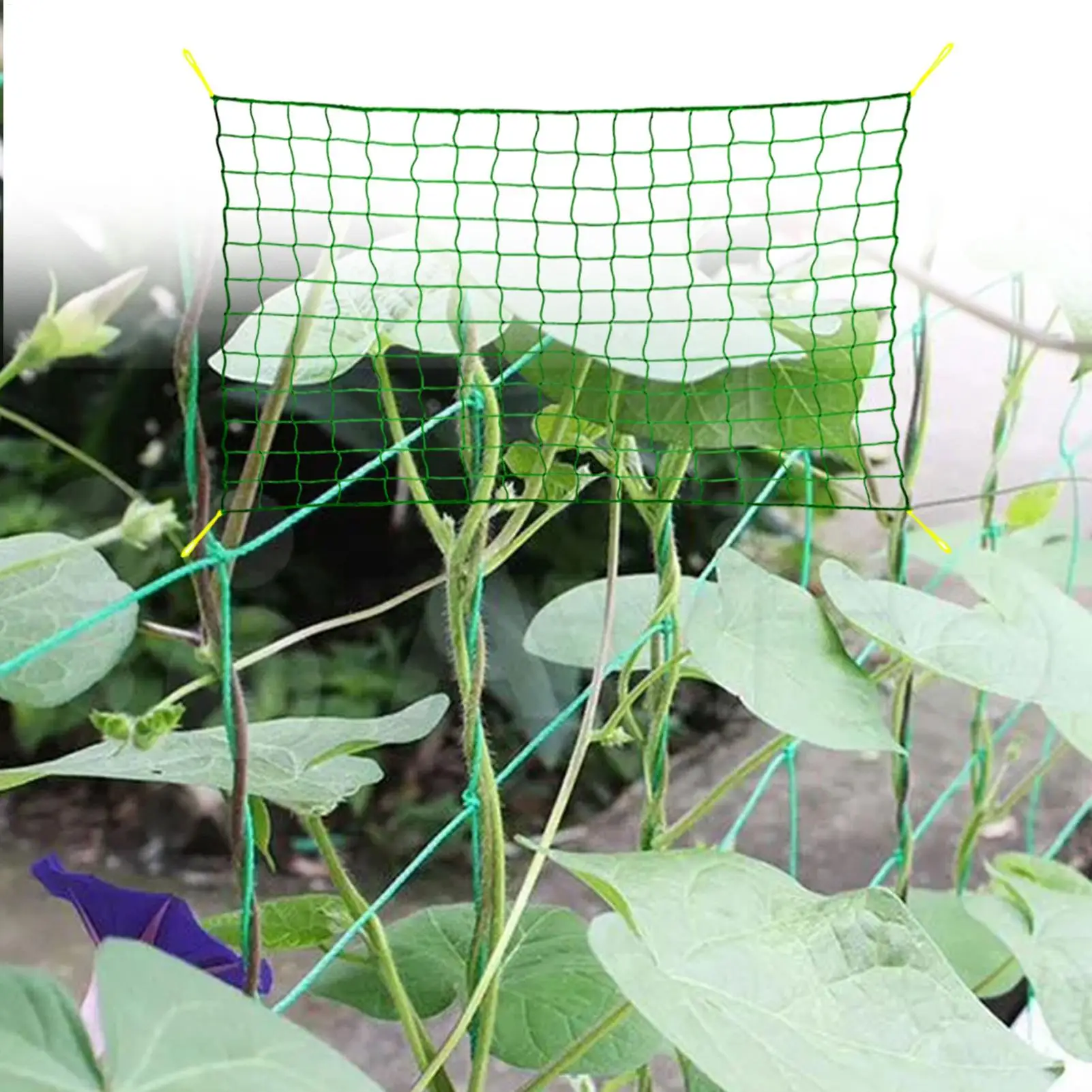 

Plant Climbing Net Garden Mesh Trellis Netting Vegetables Fruits flowers Plant Climbing Net For Vegetable Fence Growing