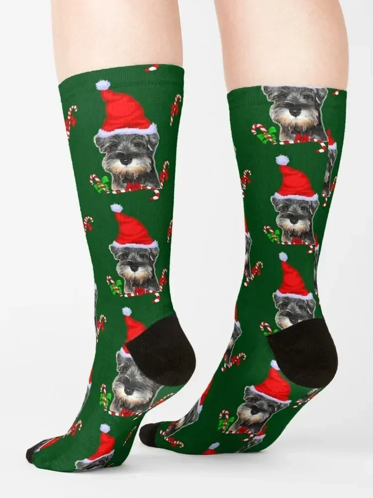 Chaussettes Schnauzer miniatures pour hommes et femmes, chaussettes transparentes, cadeaux de Noël, vente en gros