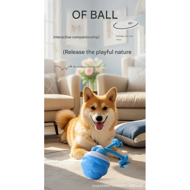 

Игрушка для домашних животных, прыгающий мяч, игрушка для собак, устойчивый к укусам мяч, электрическая игрушка для собак, самостоятельная успокаивающая мягкая игрушка для домашних животных, кошек и собак