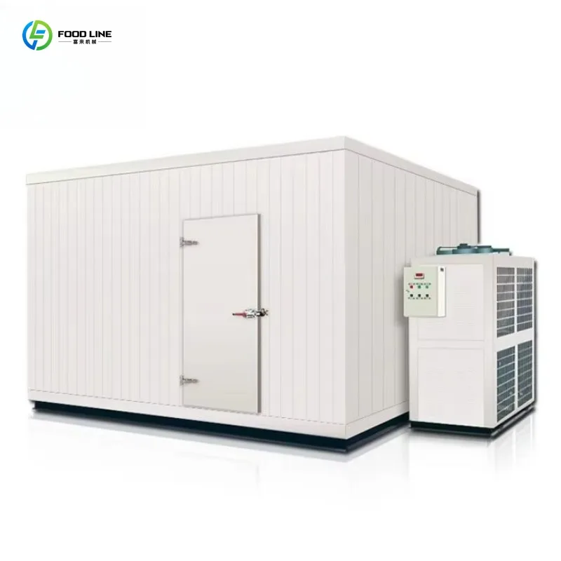 Large Capacity Industrial Cold Storage Polyurethane Insulation Room Motor Glass Door Custom Blast Freezer for Rapid Freezing