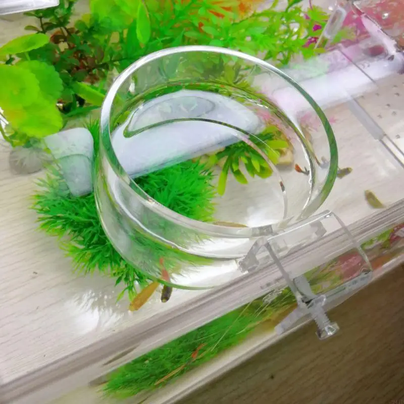 

24TD Fish Feeding Ring Aquarium Safe Floating Feeder for Goldfish Clear Acrylic Cylinder Suspensible Circle