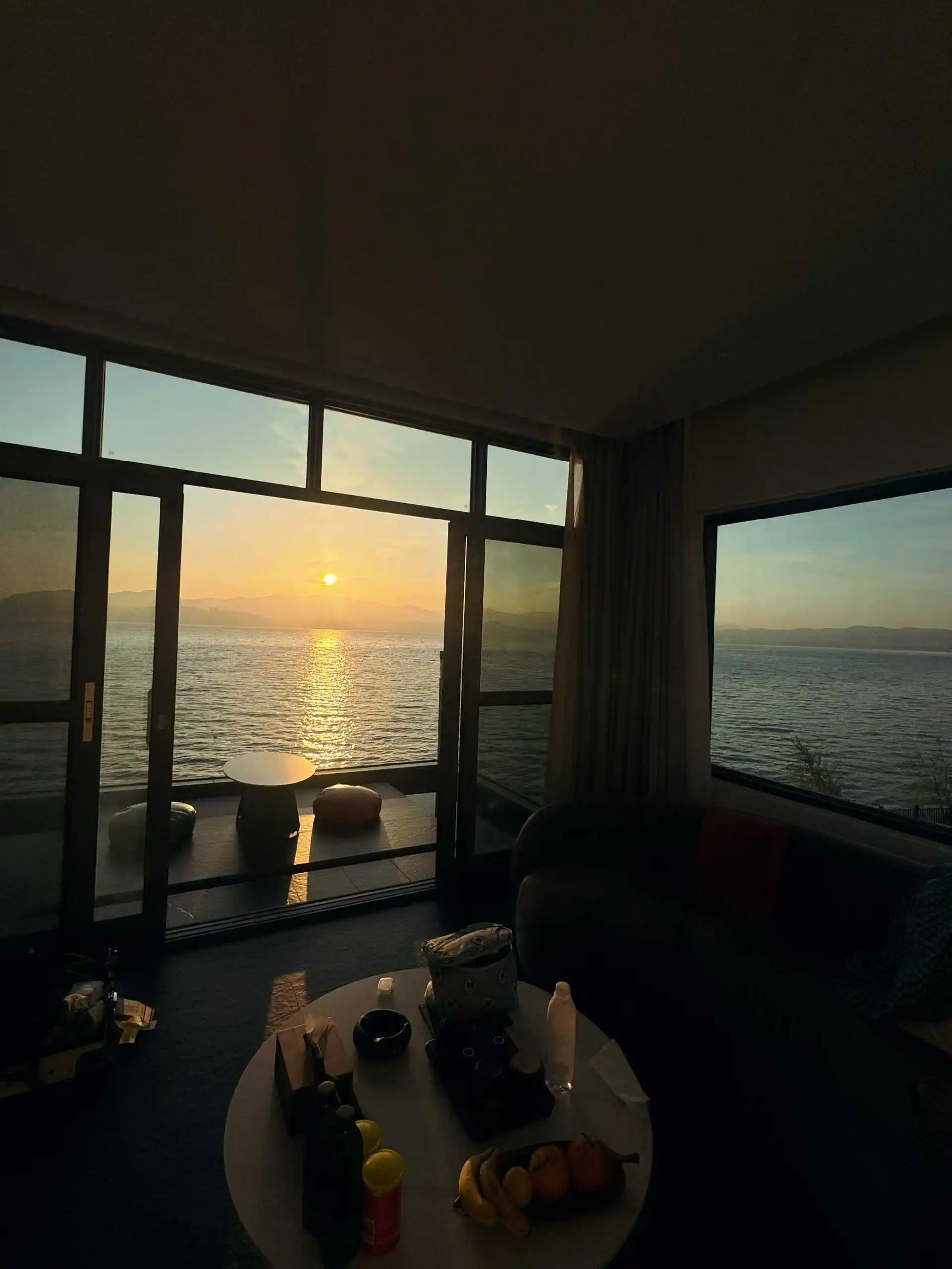 Car Camera Protecti…