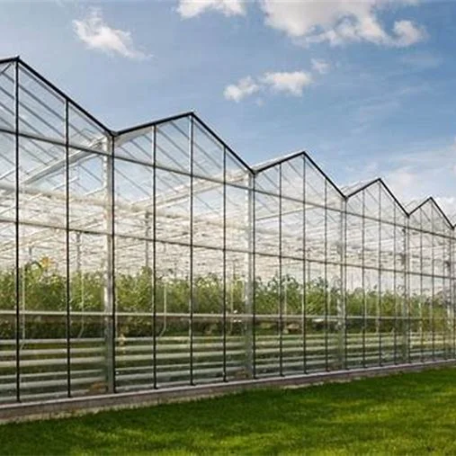 Large Walk-in Garden Greenhouse Poly Tunnel Plant Growing Kit Waterproof PE Cover Outdoor Agricultural Vegetable Shed House