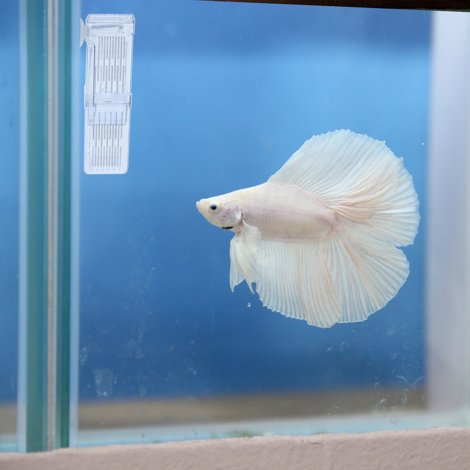 

Hatching Box Fish Incubator Aquarium Tank Plastic Divider Breeding Ornamental Guppy