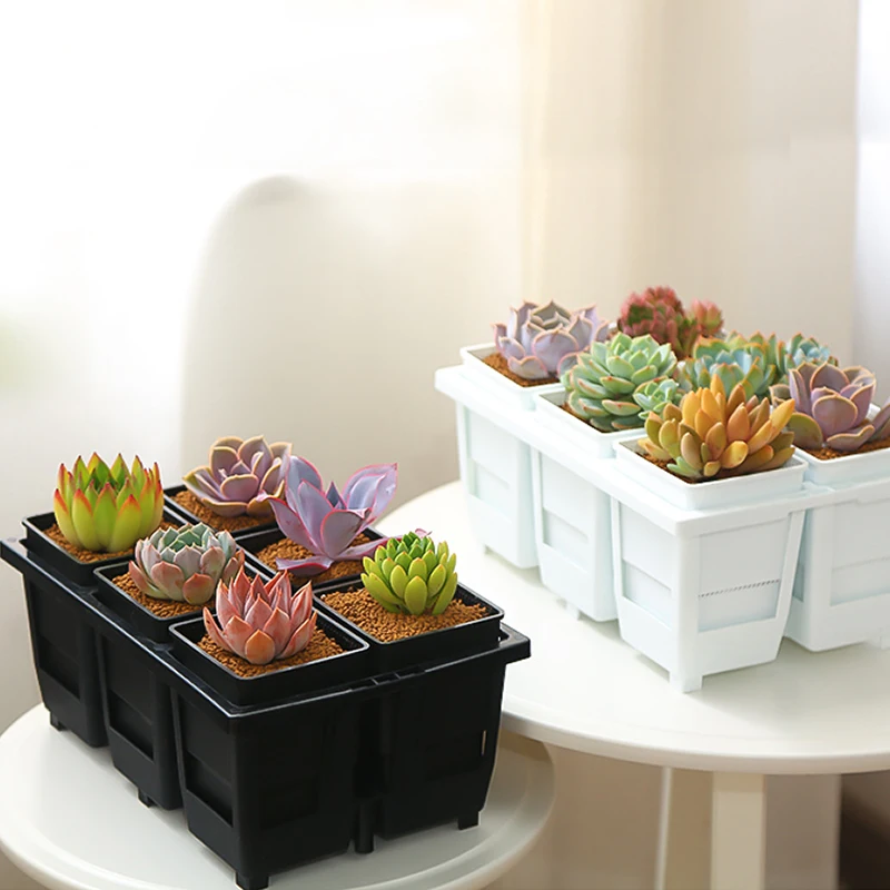 Meshpot Succulents Pots with Holes Cactus Lithops Plants Pot Seedlings Nursery Supplies Garden Kits Home Decoration