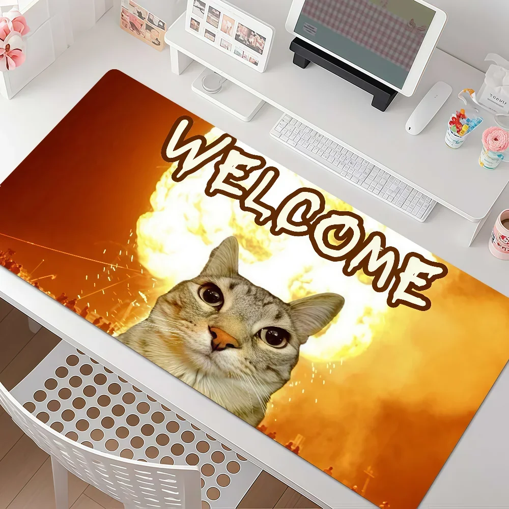 Funny Silly Cat Meme Mouse Pad Anti Slip Rubber Edge Locked Thickened Laptop Gaming Desk Mat