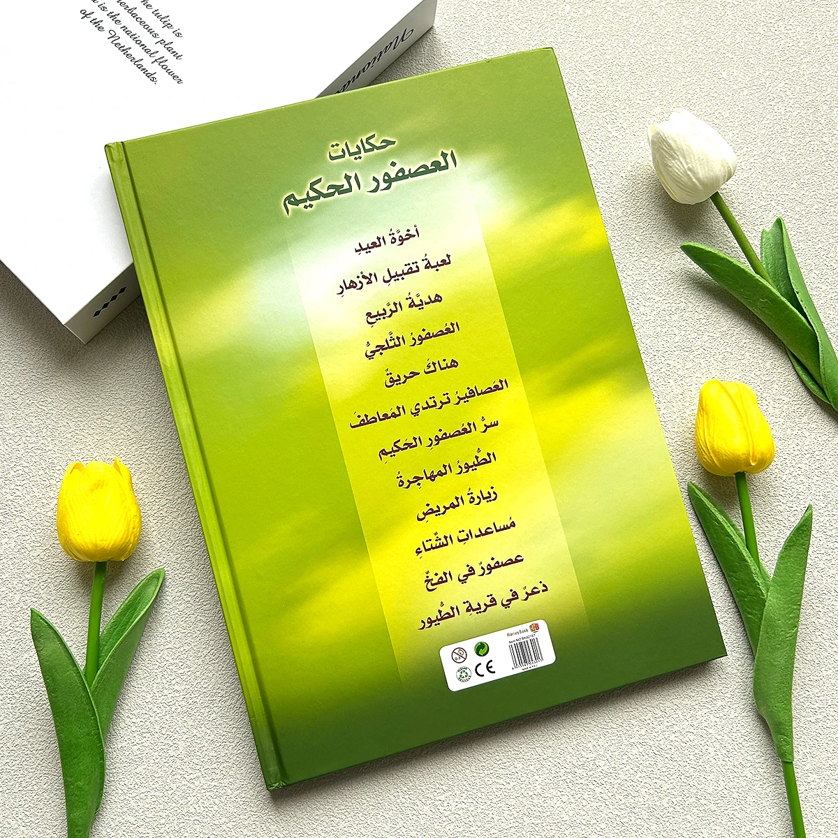 Livro de histórias árabe com 10 histórias, folktales tradicionais e intuições culturais, material de leitura para alto-falantes árabes