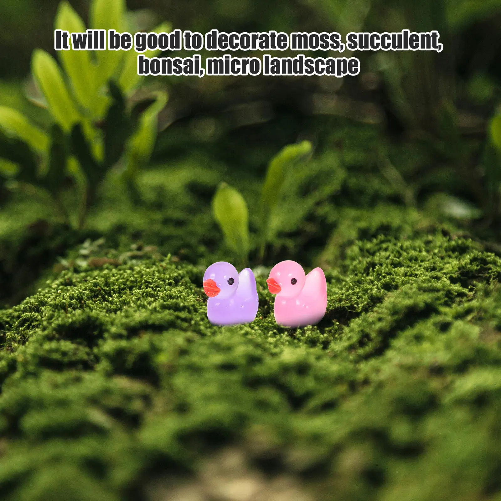 60Pcs Night Glow Mini Duck Res - Bonsai Garden World review and price