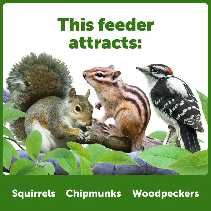 طاولة نزهة لتغذية السنجاب الأحمر تحمل بذور الذرة والمكسرات في الهواء الطلق معلقة قابلة للتركيب وحدة تغذية للحياة البرية سهلة الصرف بالكامل