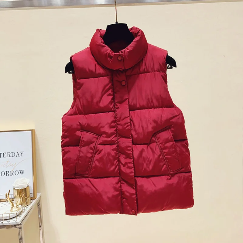 Vendita Demi-season gilet senza maniche giacche donna inverno 2024 molto caldo nuovo cappotto di tendenza piuma anatra Hit Down gilet giacca per le