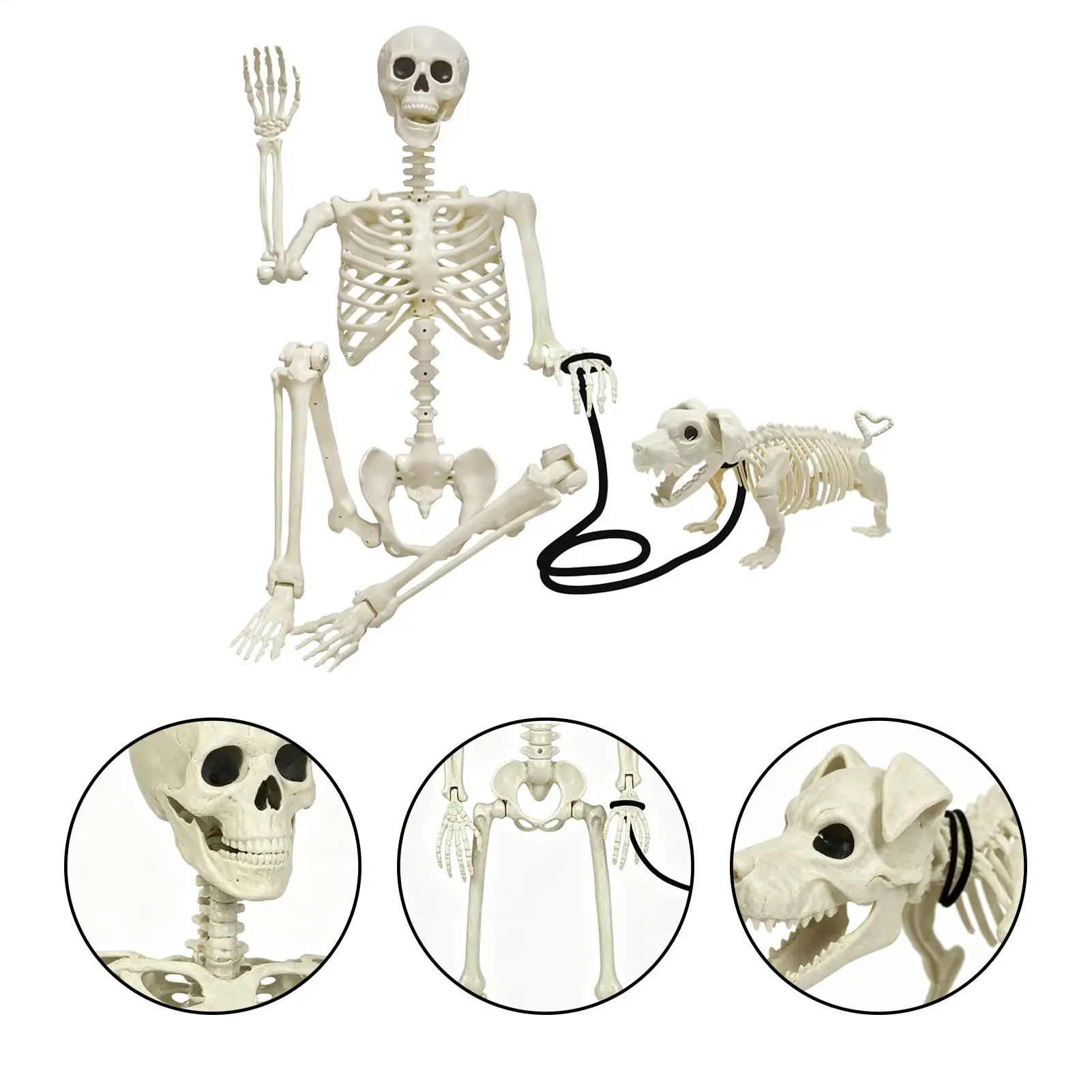 Halloween Skeleton Decorations Spooky Full Body Posable Joints Life-Size Full Body Realistic Posable Skeleton for Home Outdoor