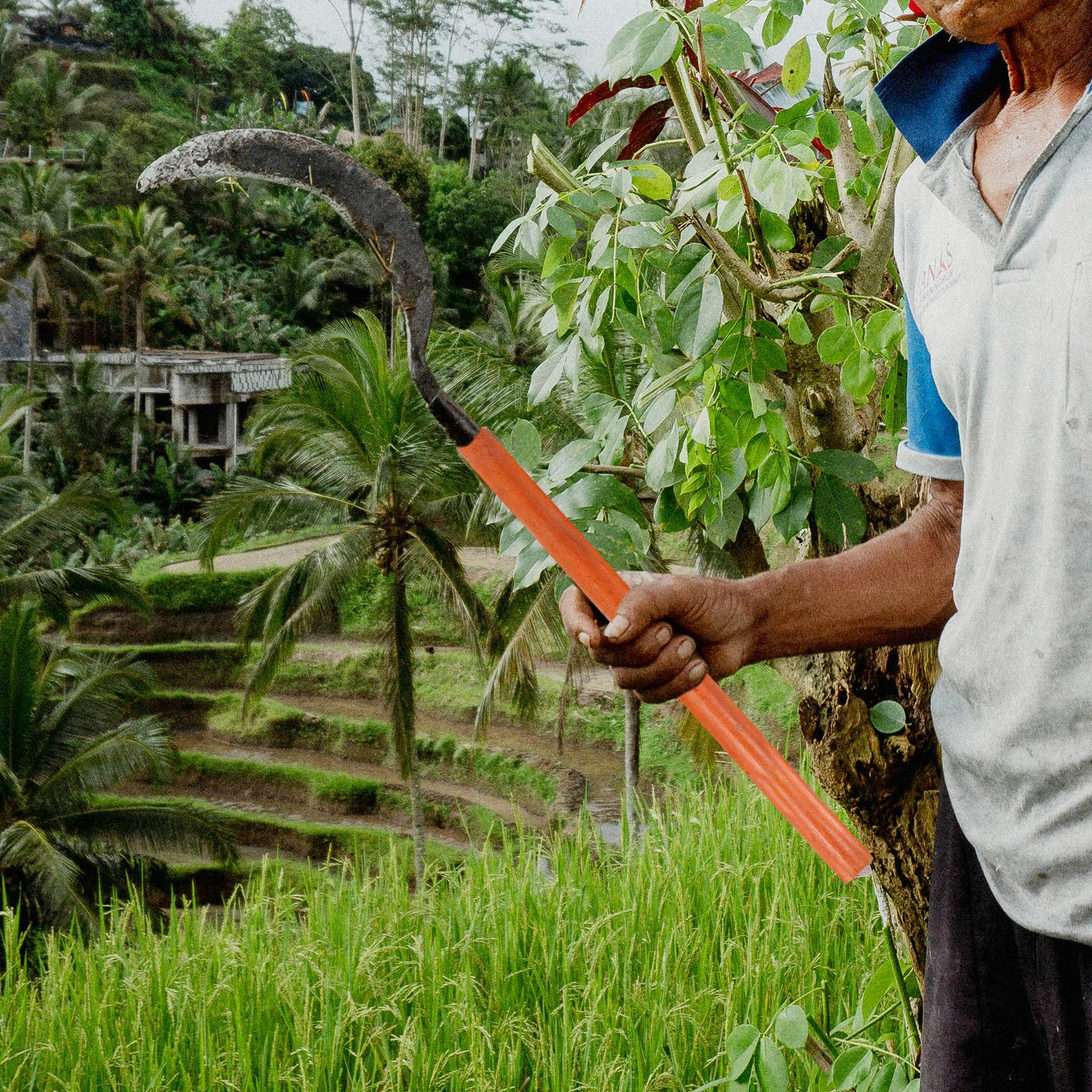 

Universal Wooden Handle for Farm and Garden Tools Replacement Handle for Hoe Shovel and Cultivator Hardwood Construction Comfort