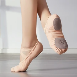 Nuove scarpe da ballo in tessuto elastico Scarpe da balletto con artiglio di gatto con suola morbida Ragazza adulta Danza Yoga Scarpe da ginnastica ritmica maschile e femminile