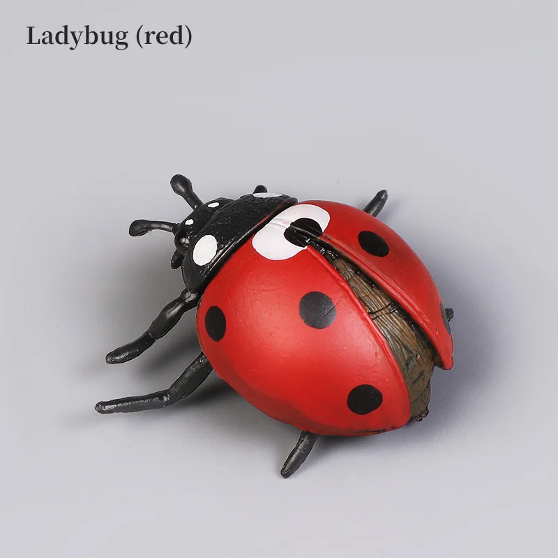 โมเดลแมลงเต่าทองเพื่อการศึกษา ของเล่นฟิกเกอร์จำลองสัตว์ ของสะสมตกแต่ง เหมาะสำหรับการเรียนรู้และความสนุก