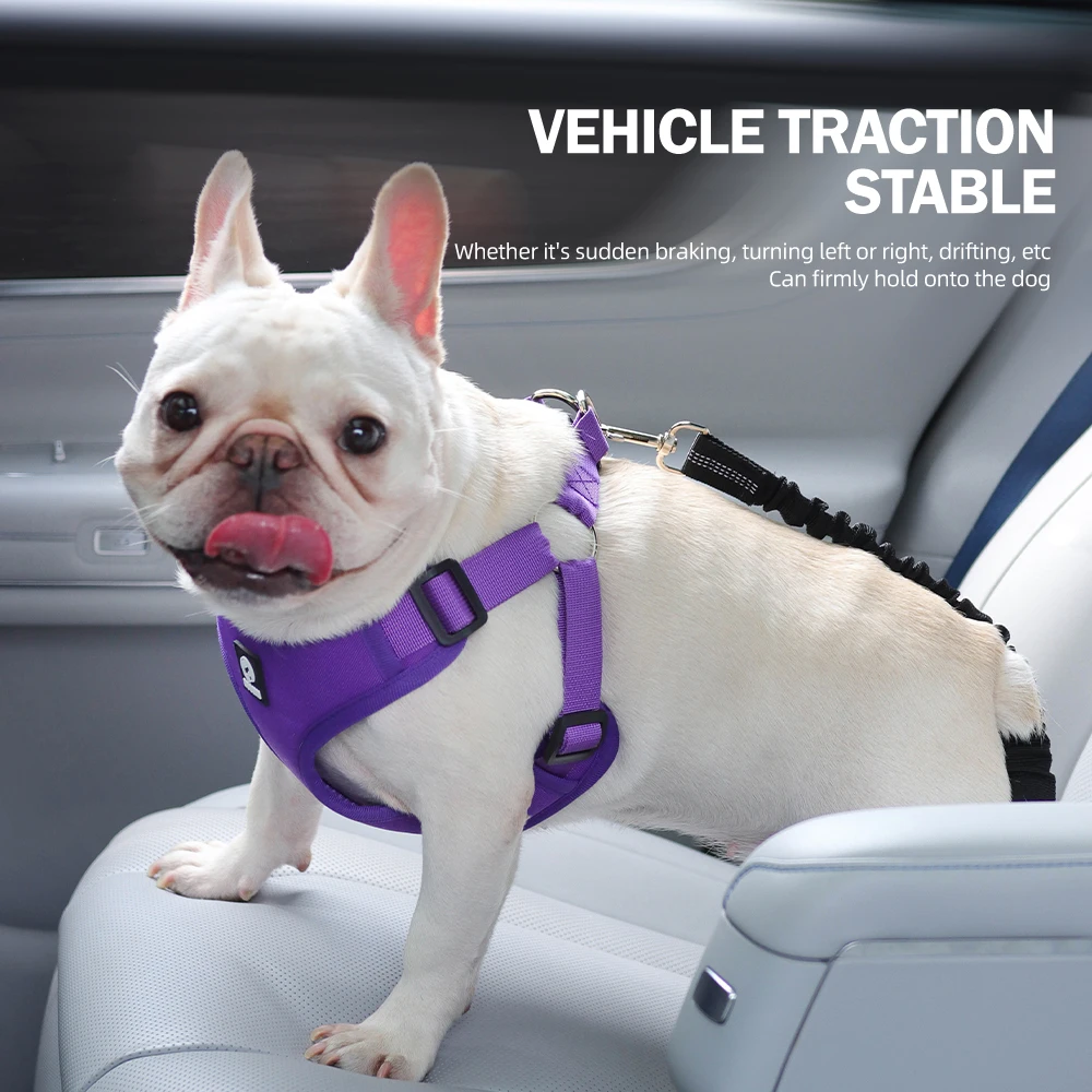 Thumbnail 3 - #5 Ranked Puppy Seat Belt Harness Picks in 2026