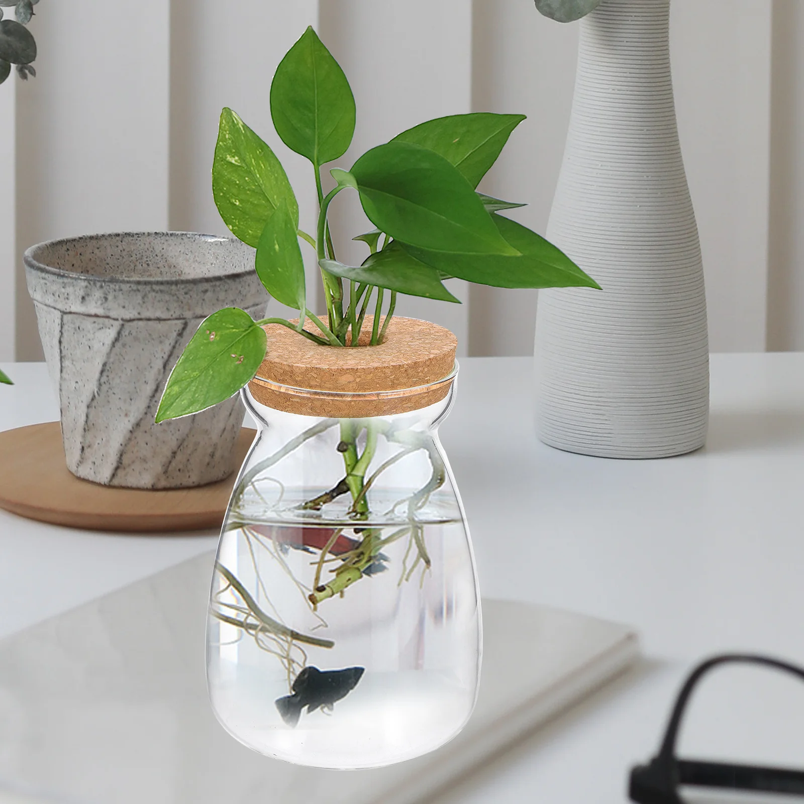 

Glass Terrarium Jar Large Transparent Ecosystem Container Moss Terrarium Micro Landscape Plant Container Glass Jar