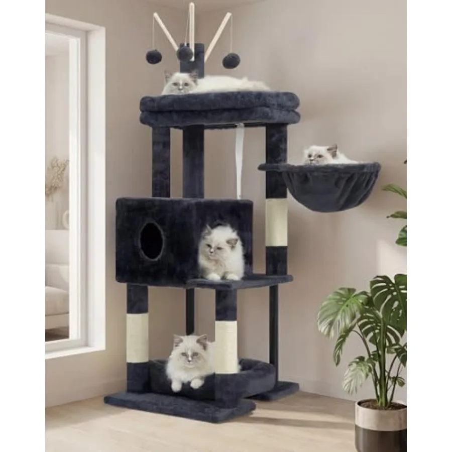 

Cat Tree, 2026 year