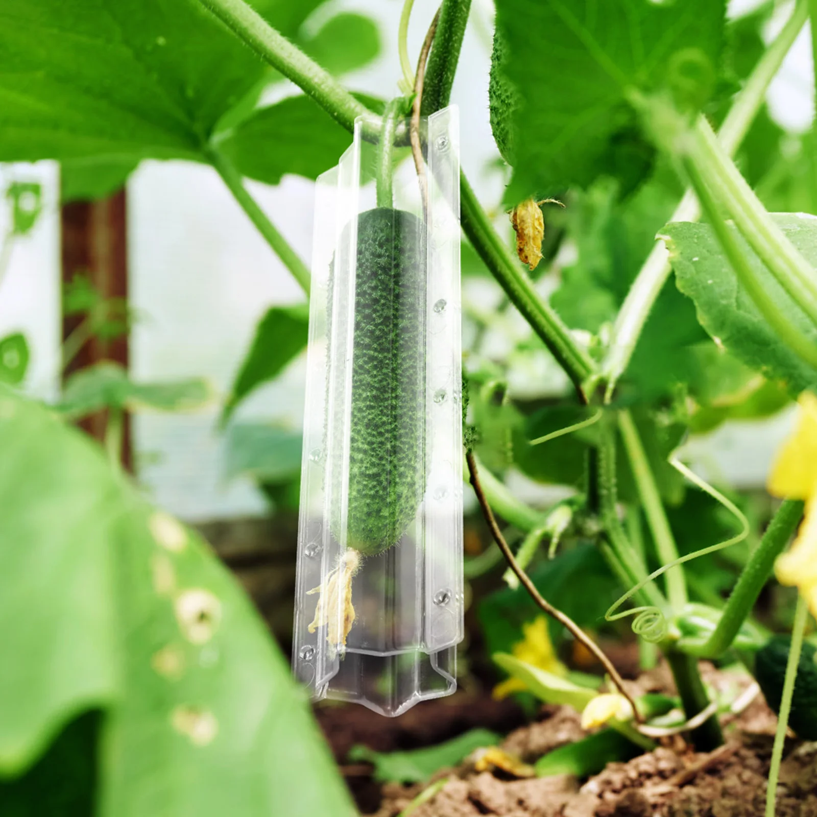 

4 pcs Cucumber Molds Fruit Shaping Tools Vegetable Forming Plastic Growth Kits For Garden Unique Shape Cooking Display Use