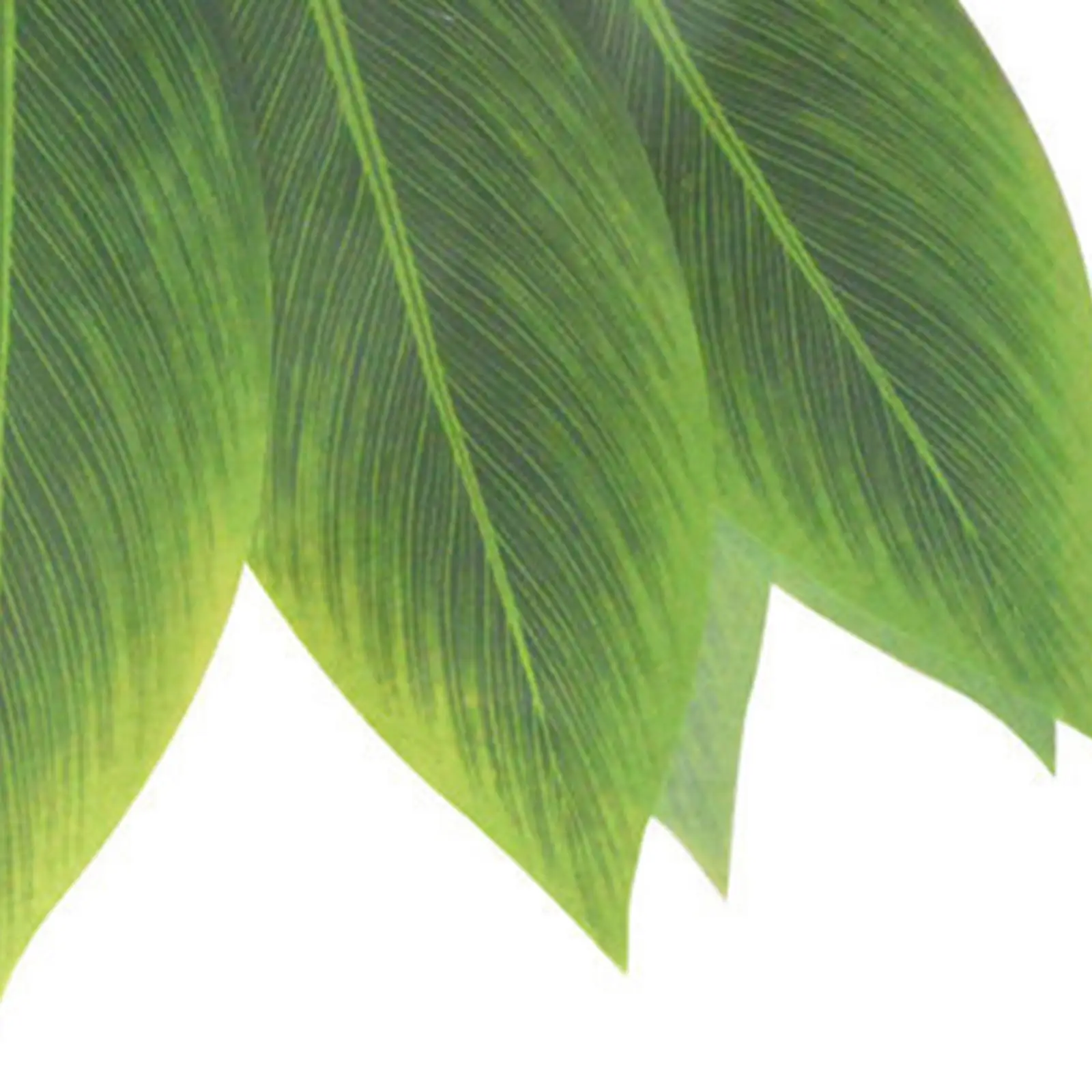 Hawaiian Grass Skirt for Luau Party Costume Women Tropical Green Leaf Dance Accessory