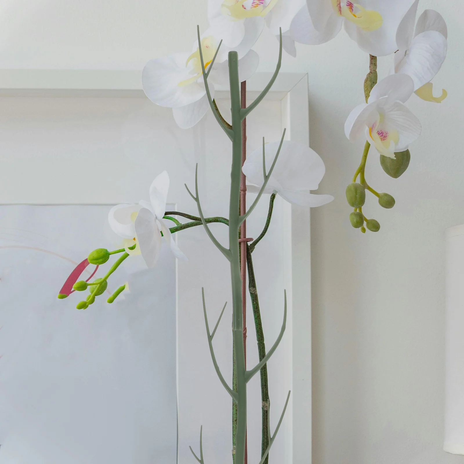 2 قطعة حصص دعم شكل فرع للنباتات الداخلية حديقة تسلق الإطار Pp تعريشة بوعاء النبات الكرمة دعم نباتات الزينة