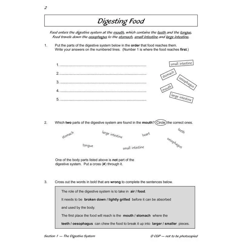 KS2 Science Year Four Workout Teeth Digestion  Food Chains CGP Books Coordination Group Publications 9781782940845 Book