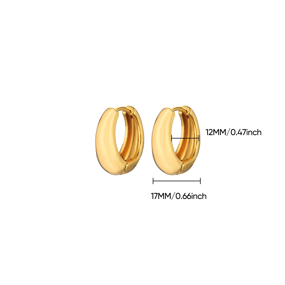 Klassieke hoepeloorbellen voor dames meisjes goudkleurige dikke roestvrijstalen oorbellen 2026 trend nieuw in minimalistische oorsieraden Aretes