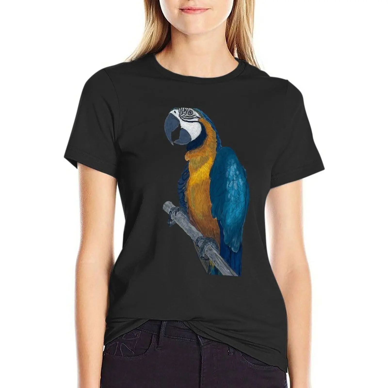 Blue + Yellow Macaw on a Twig Scientific Drawing T-Shirt shirts graphic tees tops plus size tops Female clothing Woman fashion