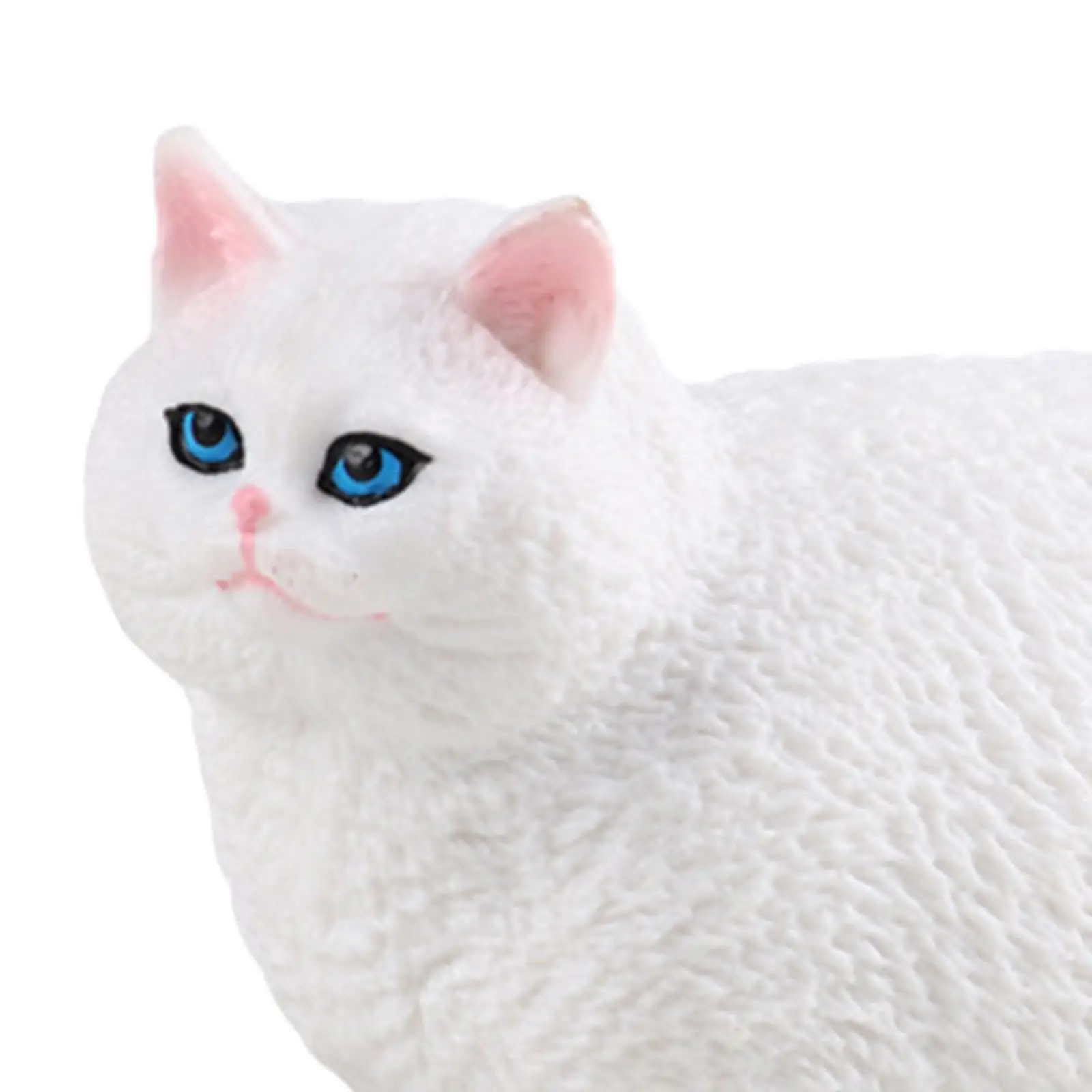 Modèle de figurine de chat réaliste pour enfants, collection de jouets pour les amoureux des chats, fête à thème