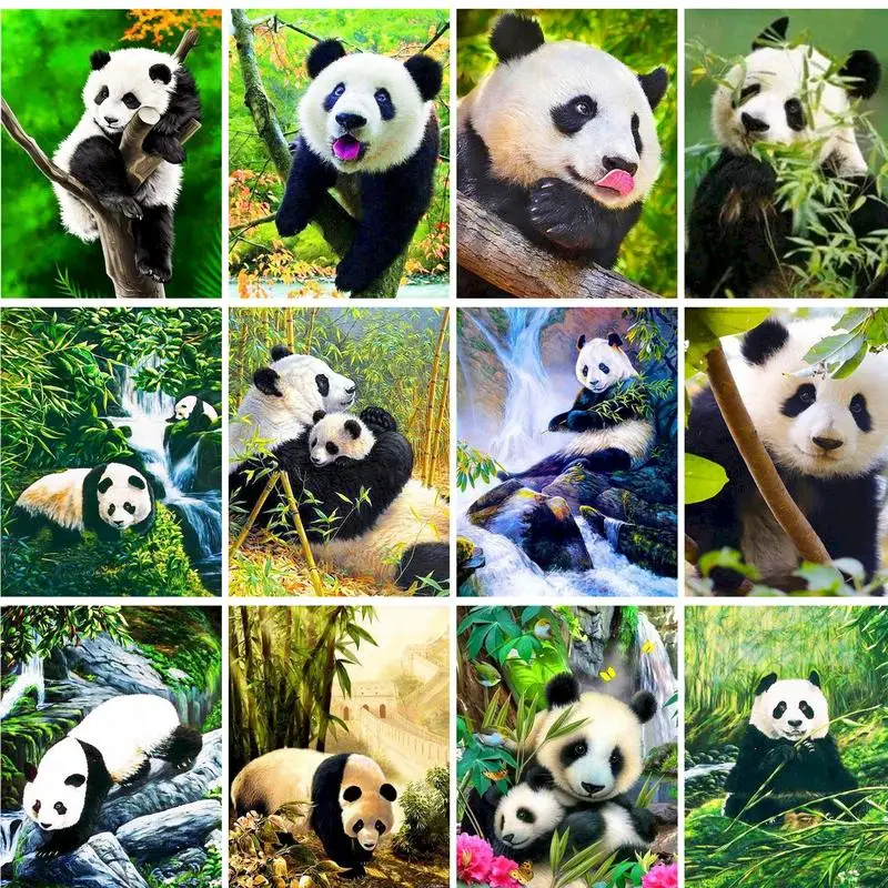 

GATYZTORY Diy Painting By Numbers Pandas Scenery Acrylic Paints Diy Set Home Decors For Adults On Canvas Gift Animals Paint Kit