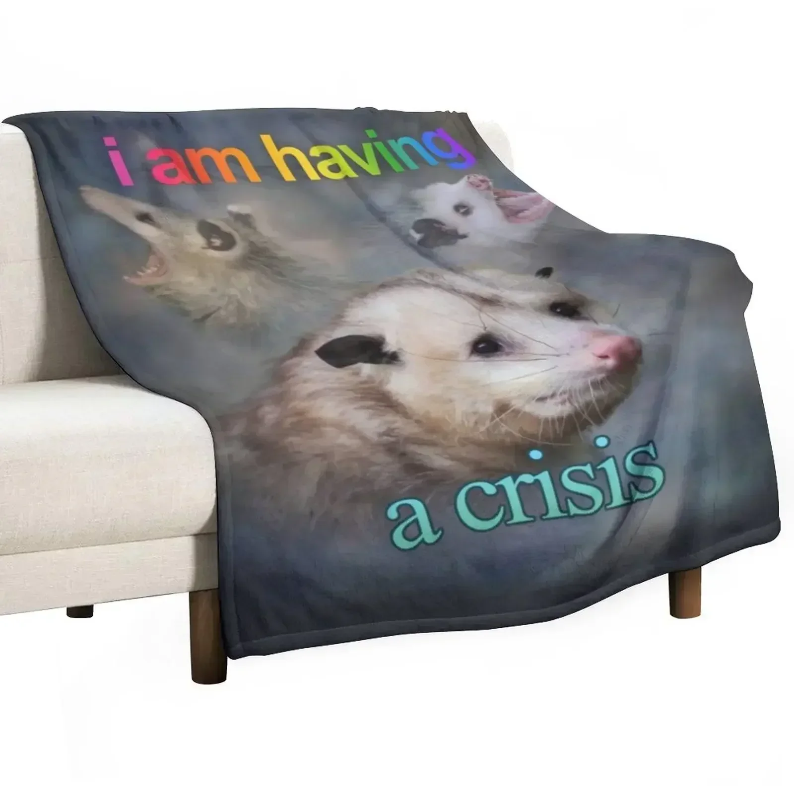 

I am having a crisis possum word art Throw Blanket Decorative Sofa Warm Blankets