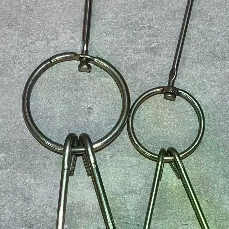 Meat Clasps Stainless Steel Beef Duck Goose Turkey Hooks Roast Bacon BBQ Storage Hanger