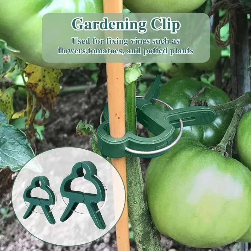 10/100 stücke Anlage Feste Clips Wiederverwendbare Garten Gewächshaus Halterung Garten Pflanzen Reben Klettern Klemme Blume Tomaten Unterstützung Verschluss – Detail 5